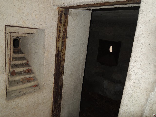img00218.jpg