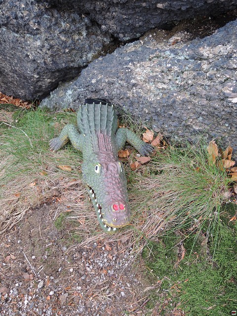 img00222.jpg