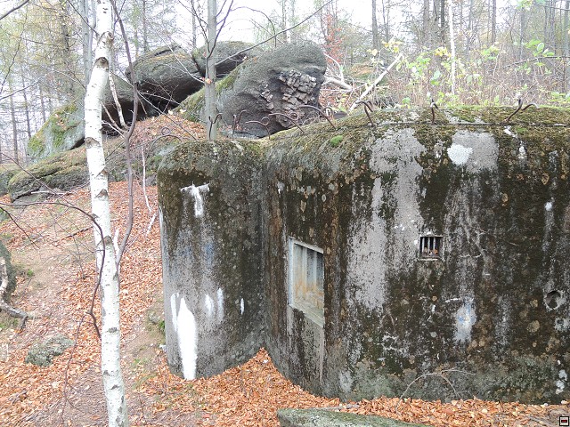 img00224.jpg