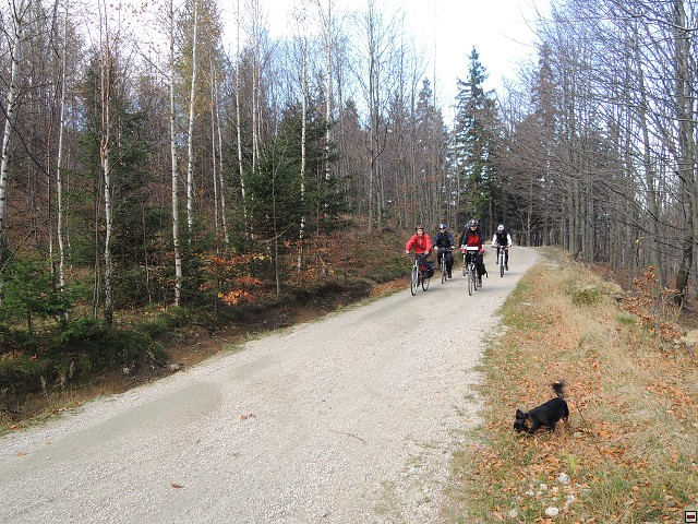 img00227.jpg