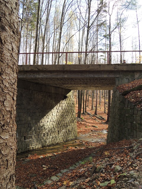 img00230.jpg