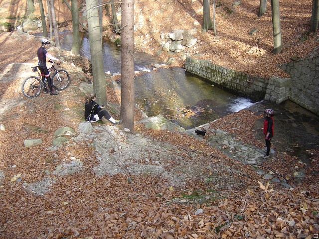 img00231.jpg