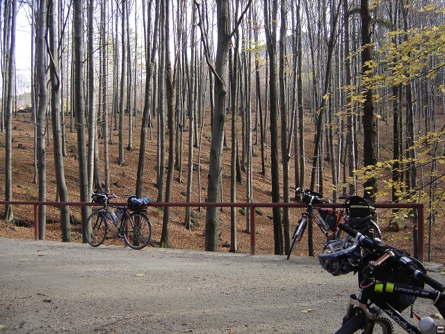 img00232.jpg