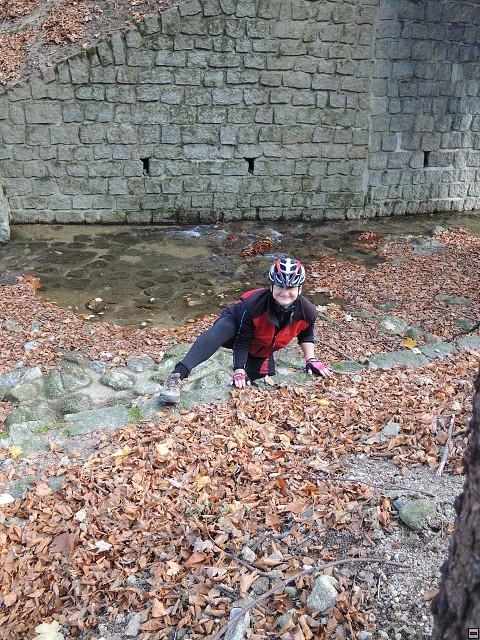 img00233.jpg
