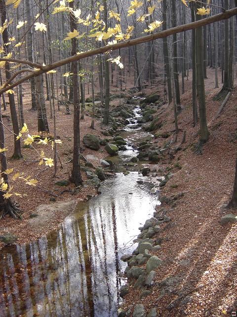 img00235.jpg