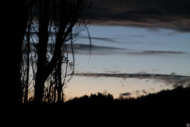 img00246.jpg