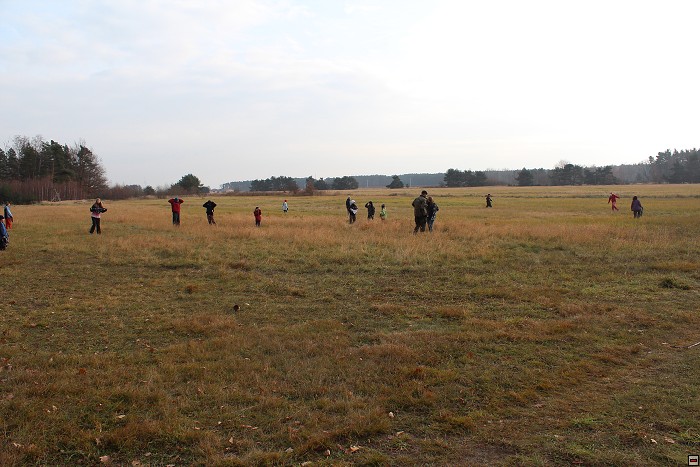 img00036.jpg