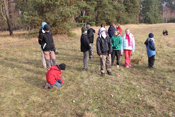 img00038.jpg
