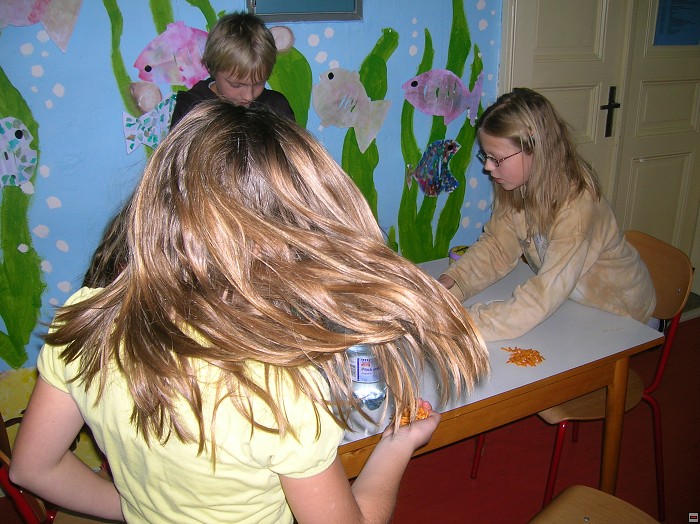 img00084.jpg