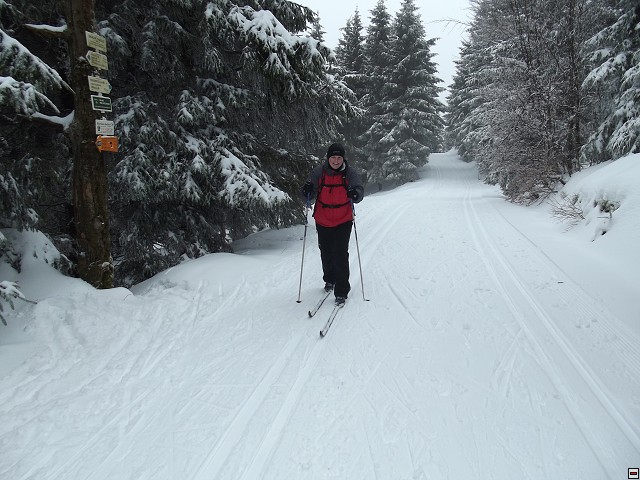 img00003.jpg