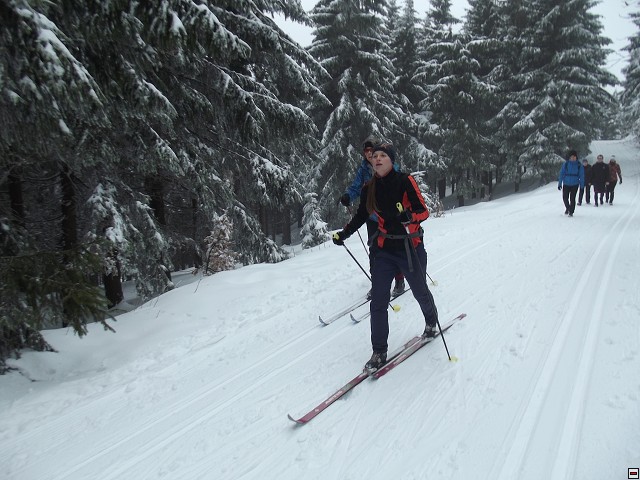 img00005.jpg