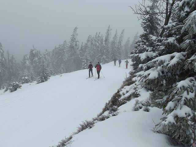 img00013.jpg