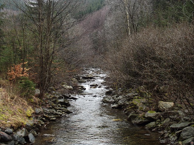img00032.jpg