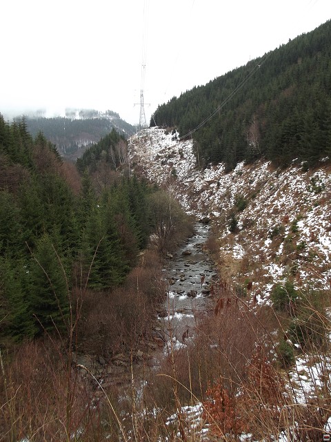 img00035.jpg