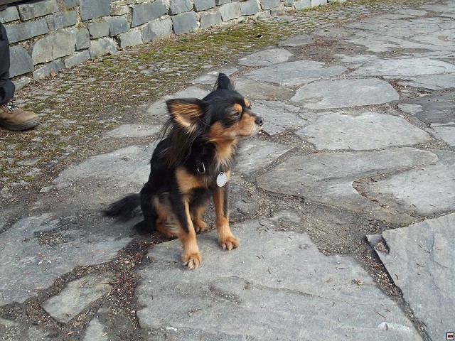 img00067.jpg