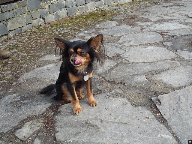 img00068.jpg