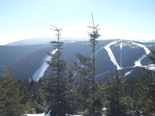 img00082.jpg