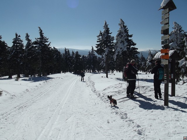 img00086.jpg