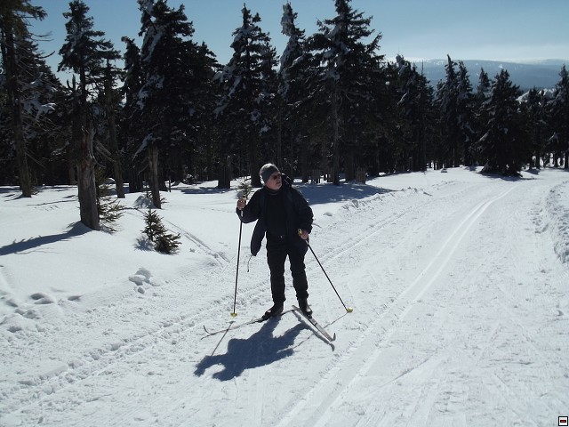 img00088.jpg