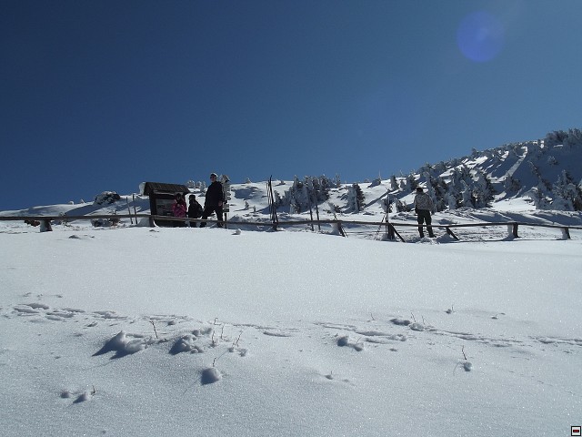 img00090.jpg