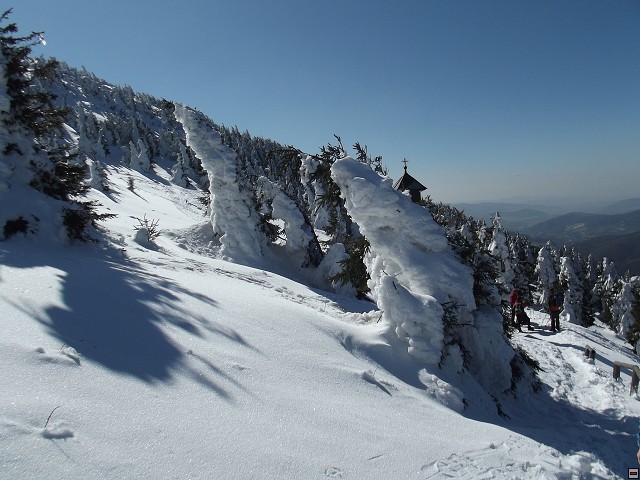 img00091.jpg