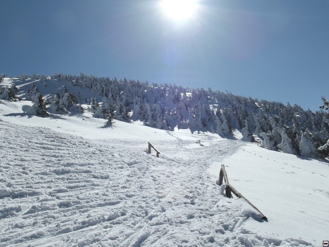img00096.jpg