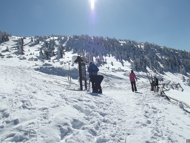 img00098.jpg
