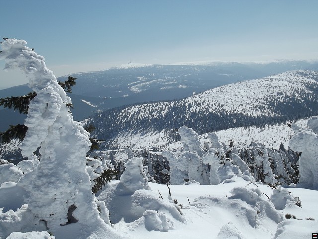 img00102.jpg