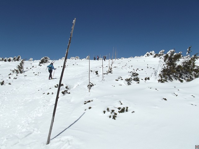 img00103.jpg