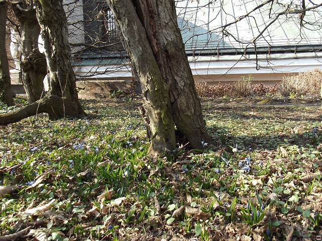 img00125.jpg