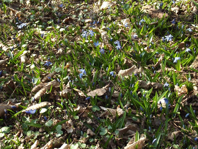 img00126.jpg