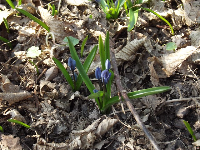 img00127.jpg