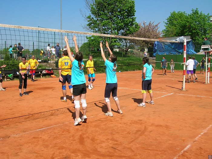 img00065.jpg