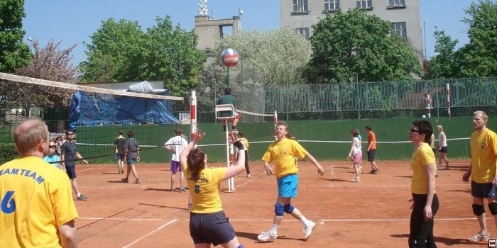 img00091.jpg