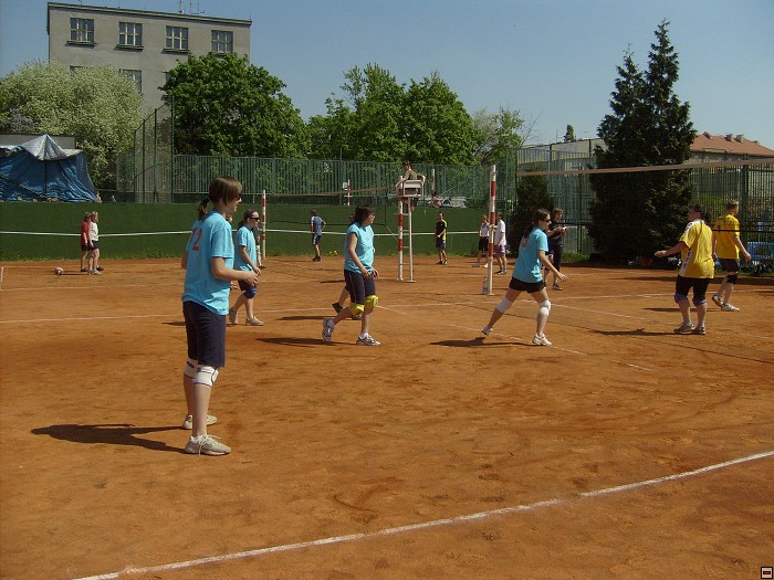 img00102.jpg