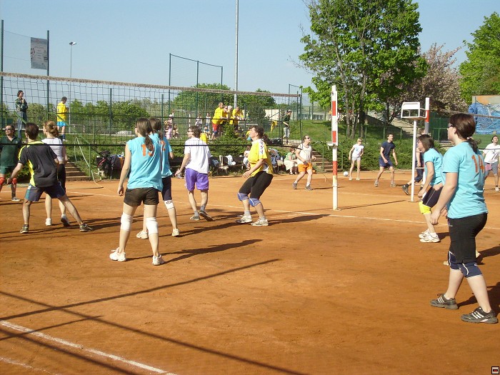 img00137.jpg