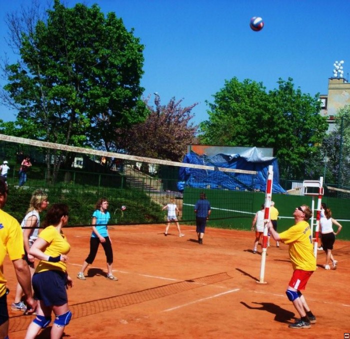 img00206.jpg