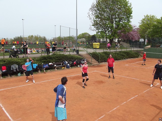 img00036.jpg
