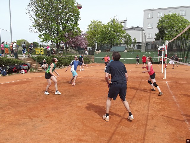 img00050.jpg