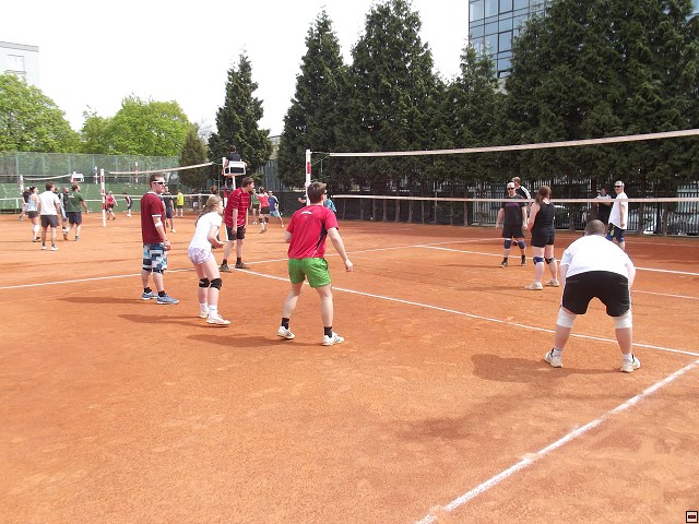 img00056.jpg