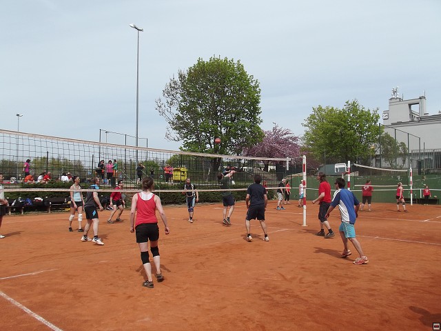img00062.jpg