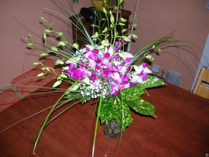 img00299.jpg