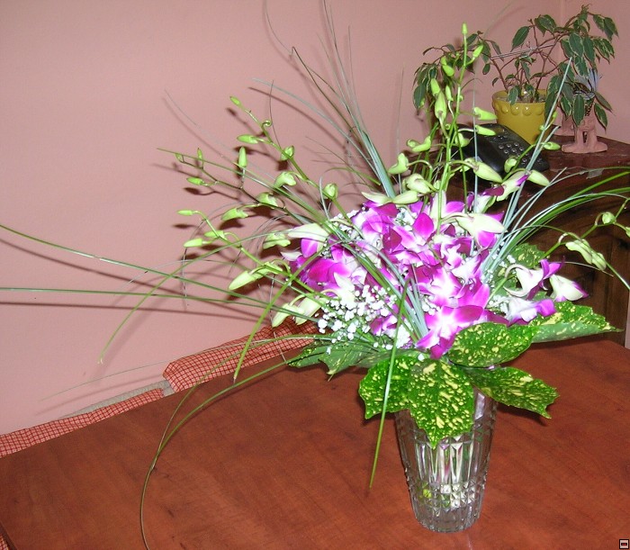 img00301.jpg