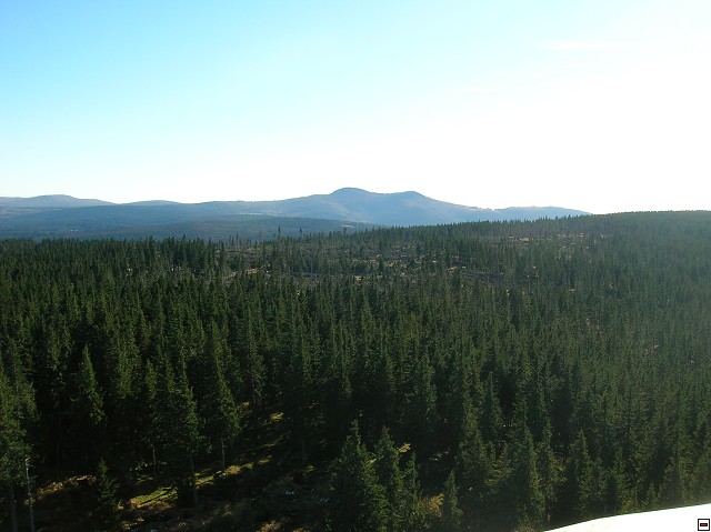 img00008.jpg