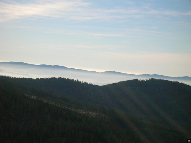 img00011.jpg