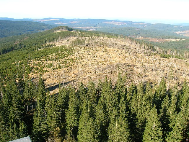 img00014.jpg
