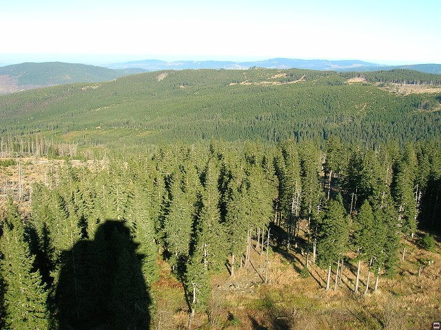 img00016.jpg