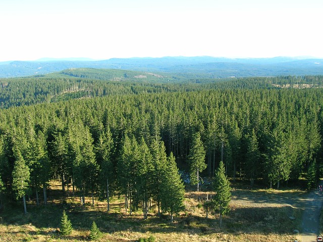 img00018.jpg