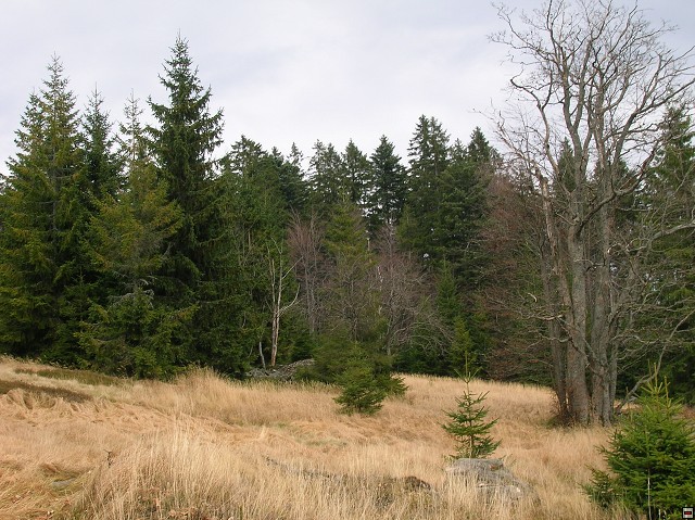 img00024.jpg