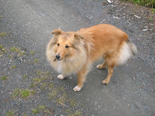 img00026.jpg